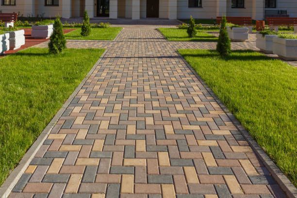 Best Driveway Paving Near Me  in Camn, DE